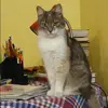 Отзыв от Надежда Пантелеева